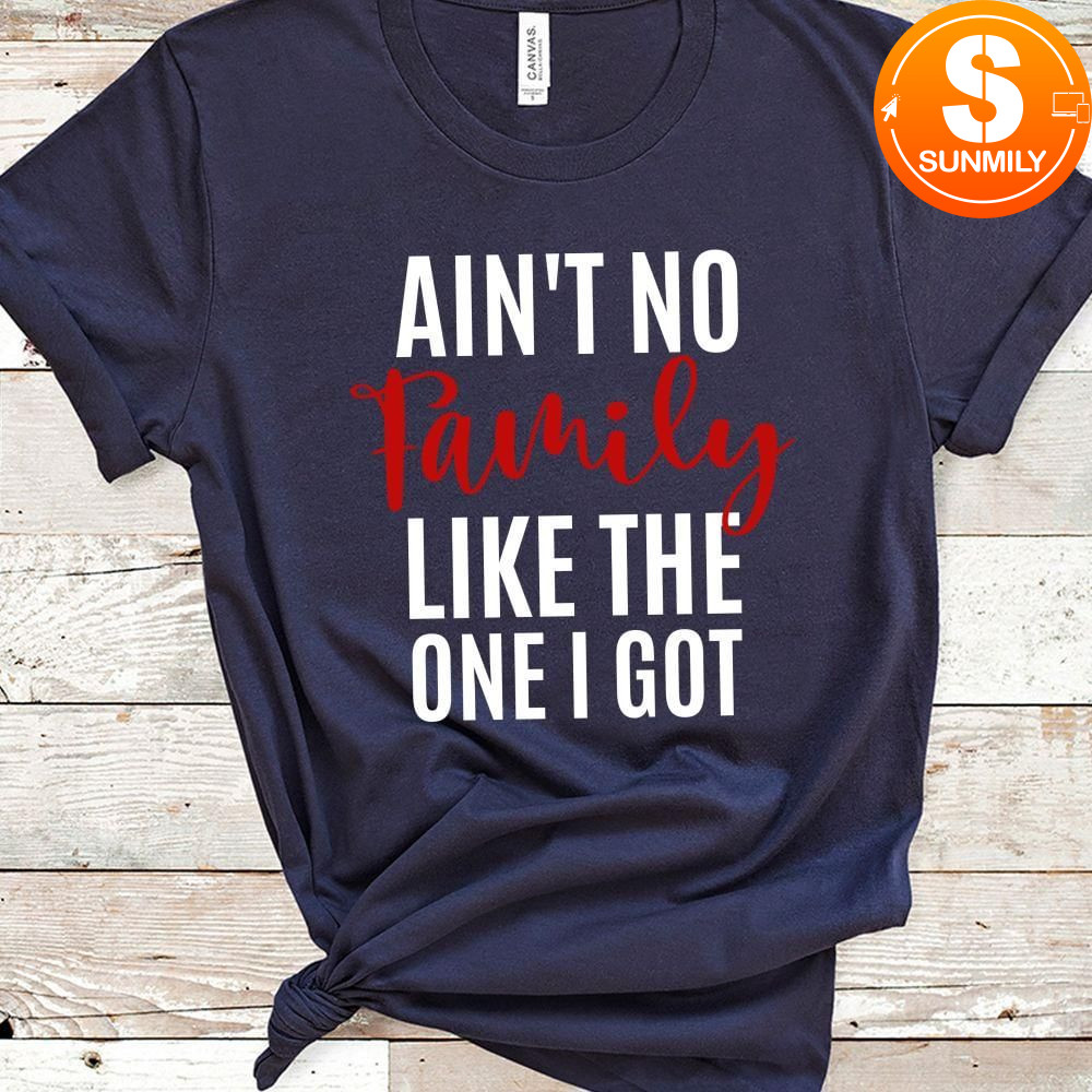 Ain't no Family like the one i got T-Shirt